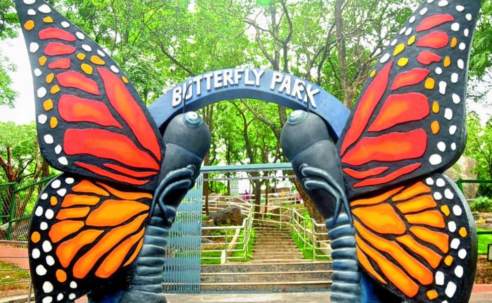 butterfly parks