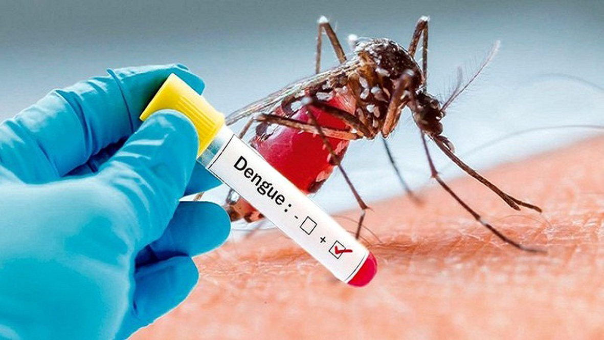 Dengue-fever
